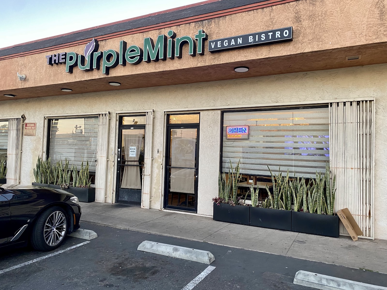 The Purple Mint - El Cajon Blvd: the place