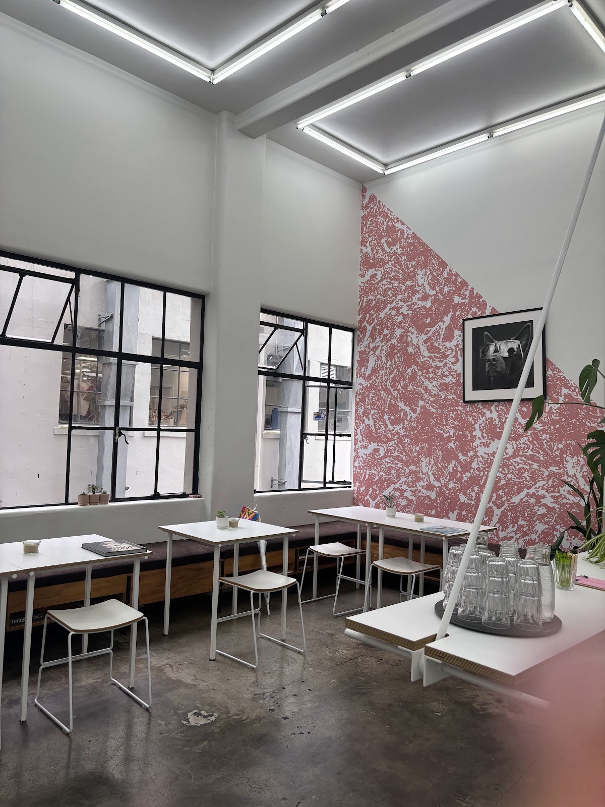 Pink Neon Sign: the place