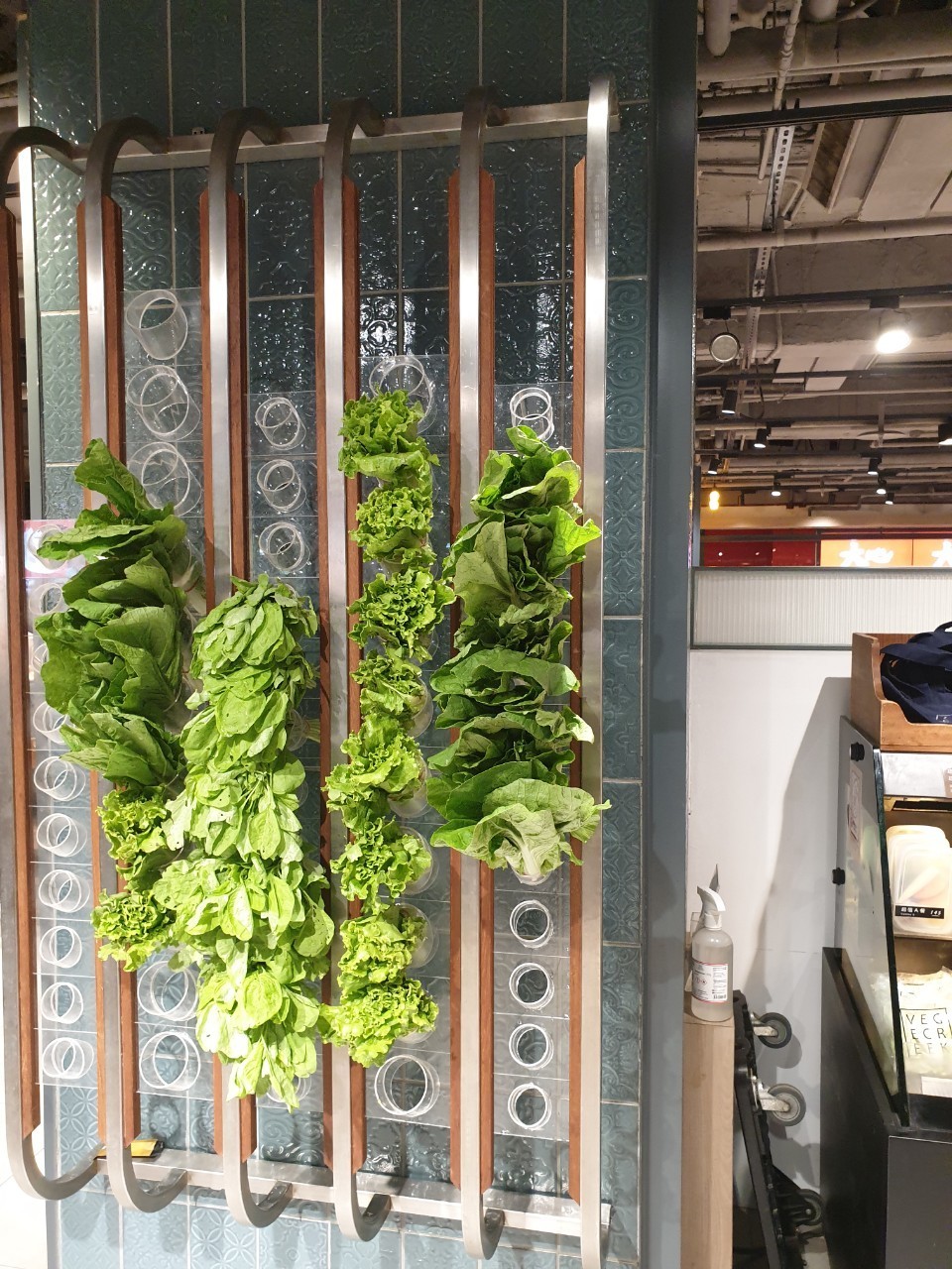 VEGE CREEK蔬河 誠品南西店: the place