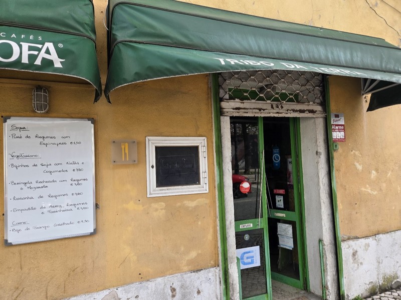 Tribo da Terra: photo 4
