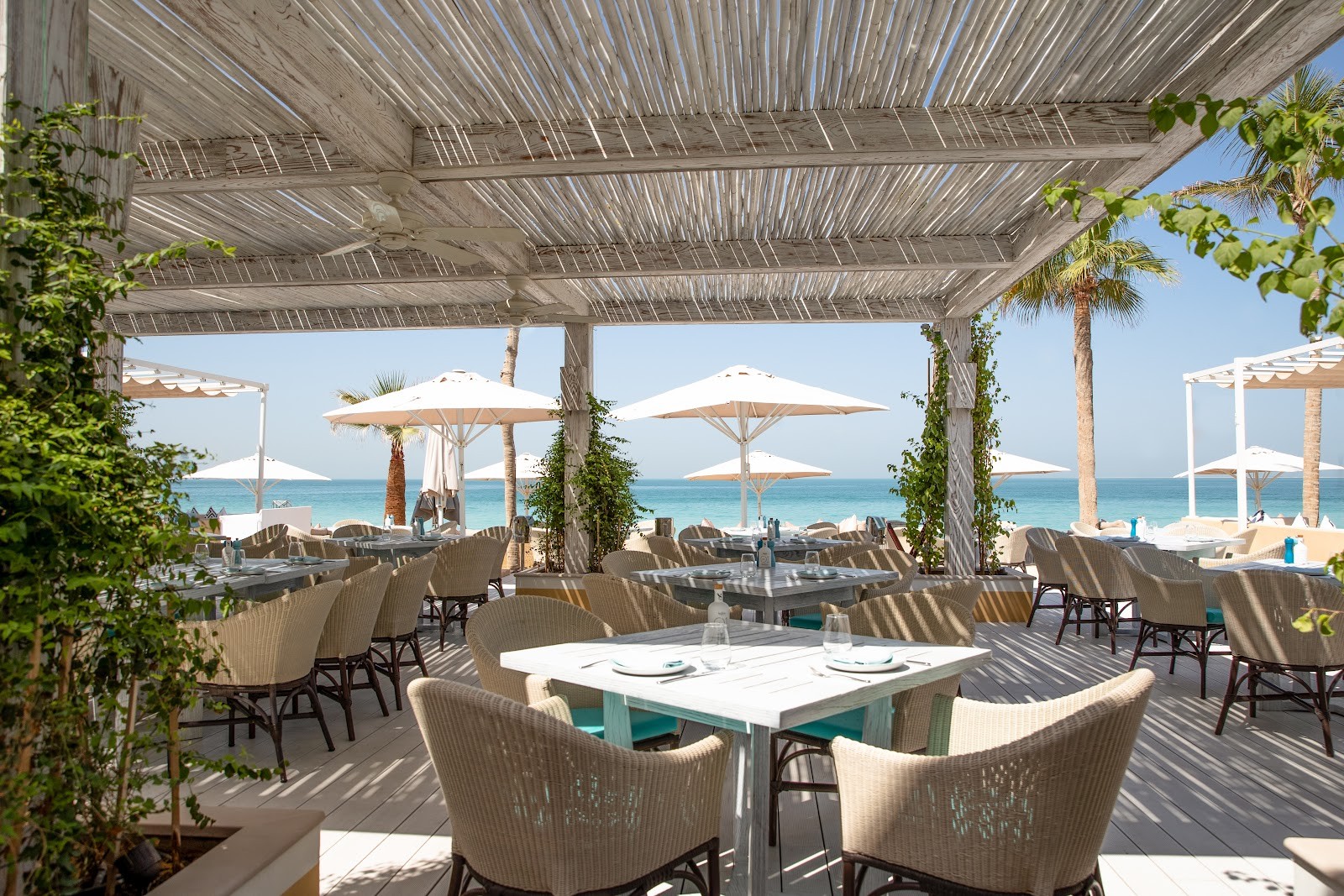 Shimmers: the place
