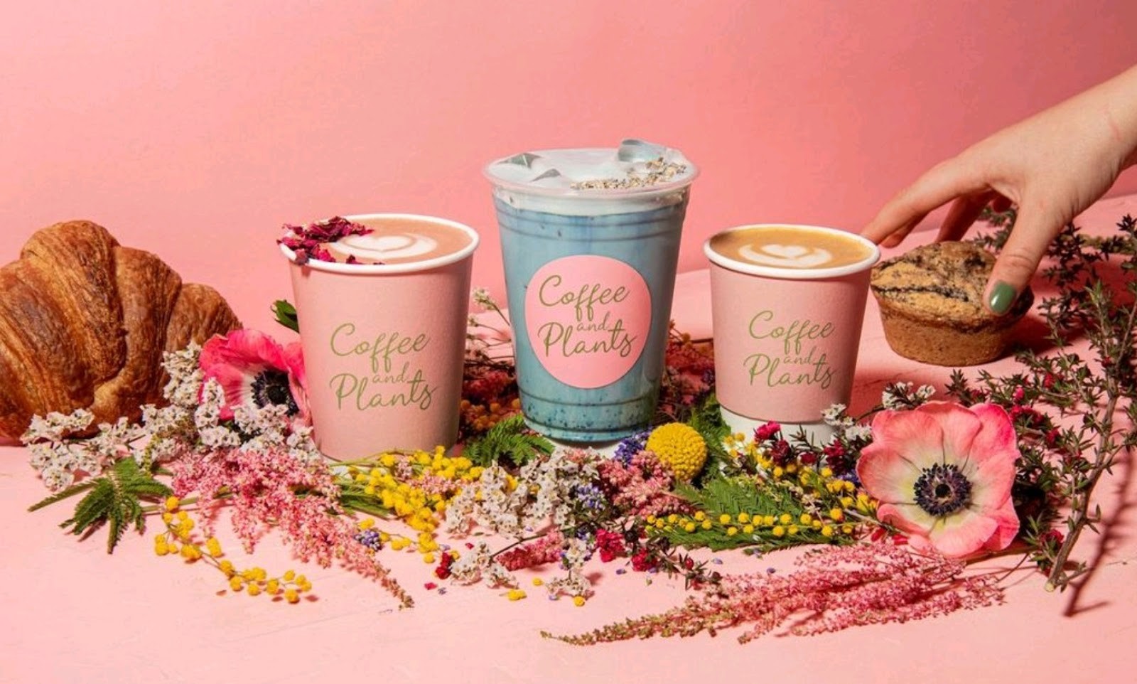 Coffee and Plants: food & drinks