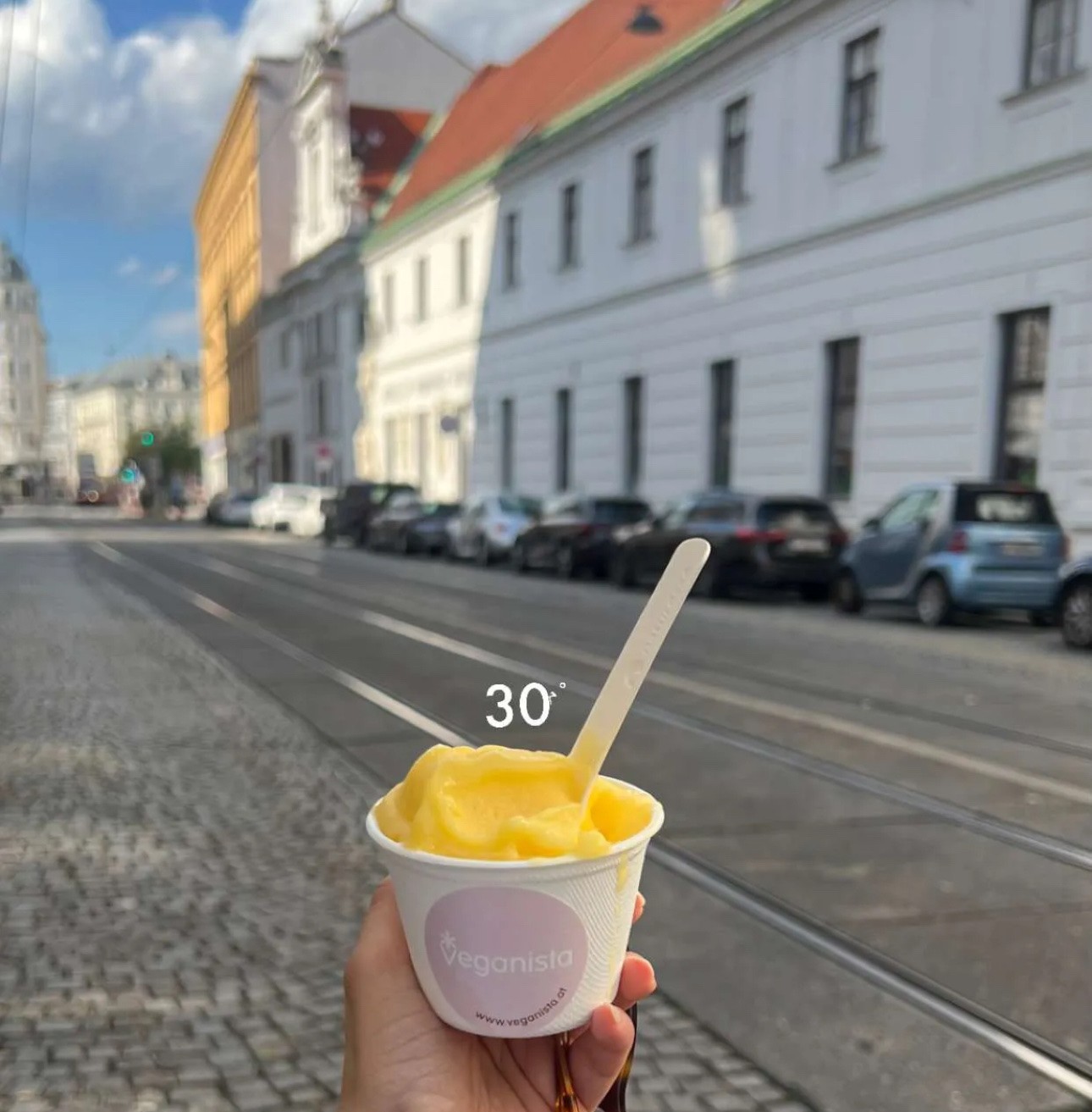 Veganista Ice Cream: food & drinks