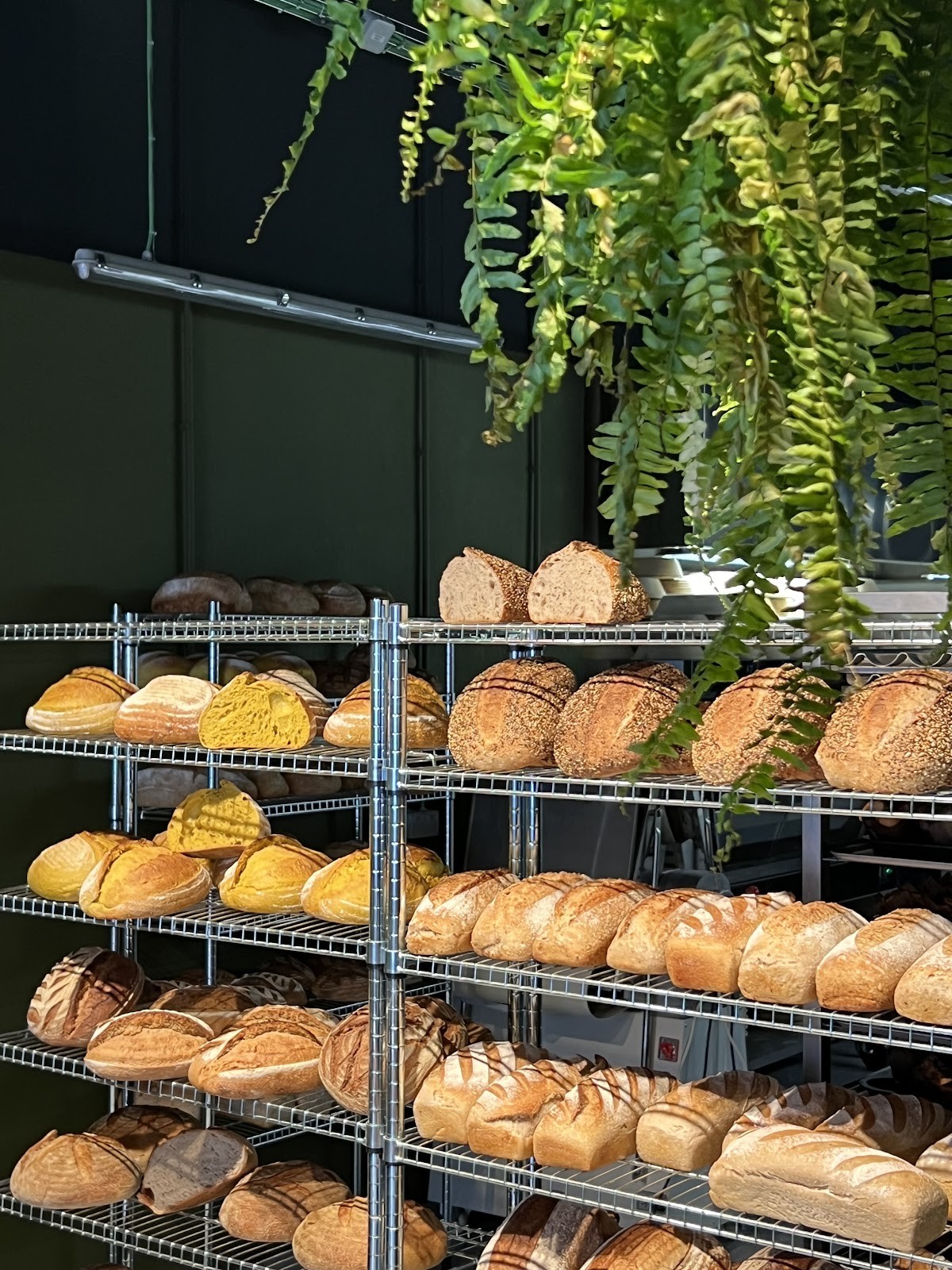 Treego • Padaria Artesanal Sourdough: food & drinks