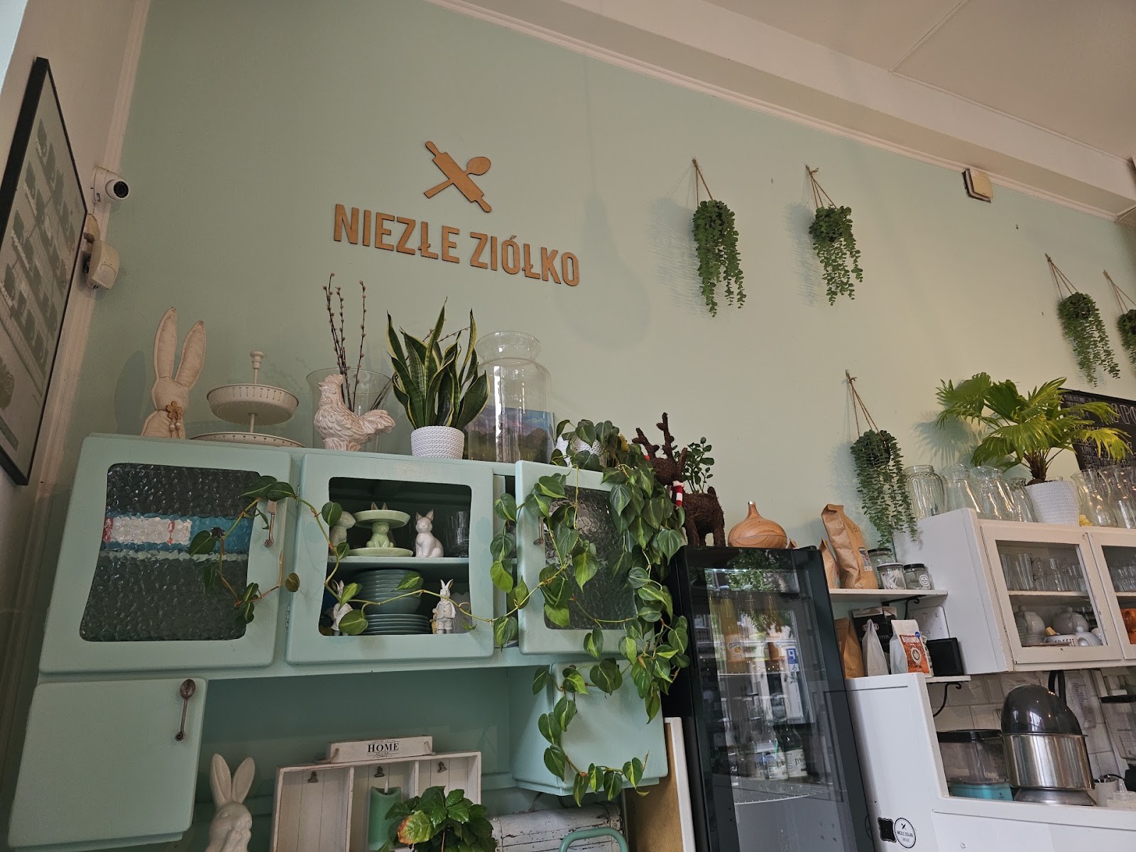 Niezłe Ziółko: the place