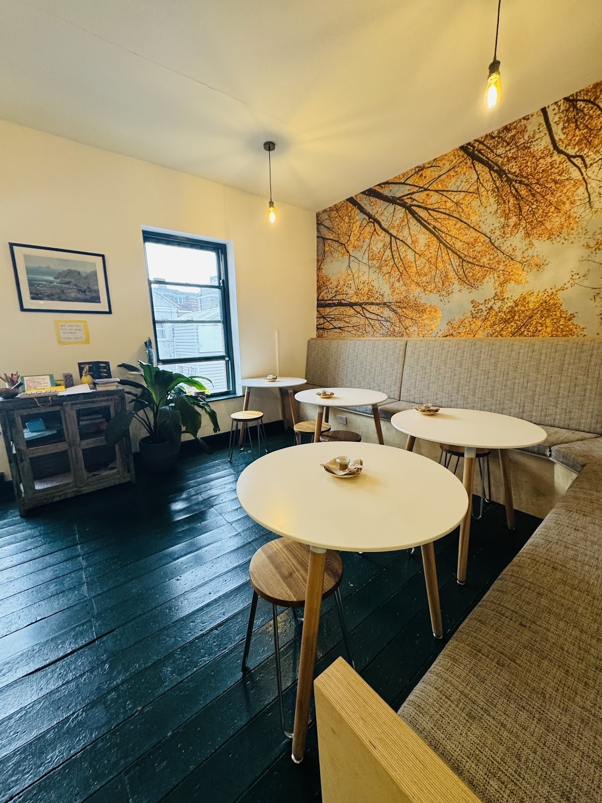 Little Collins CBD Dispensary: the place