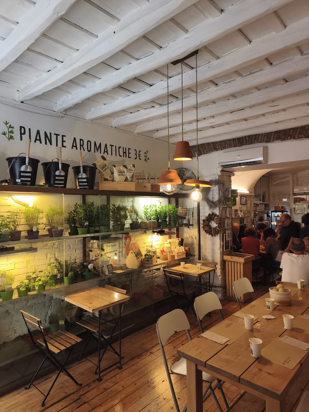 Aromaticus Monti: the place