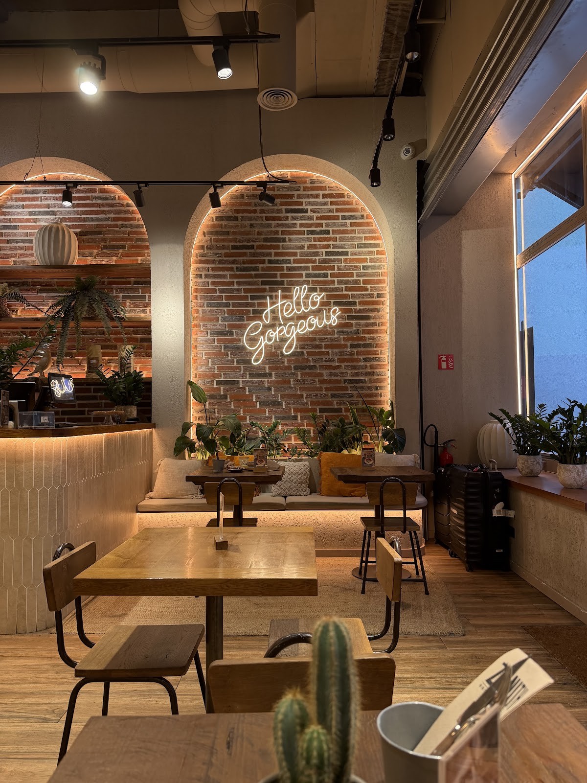 Zenith: the place