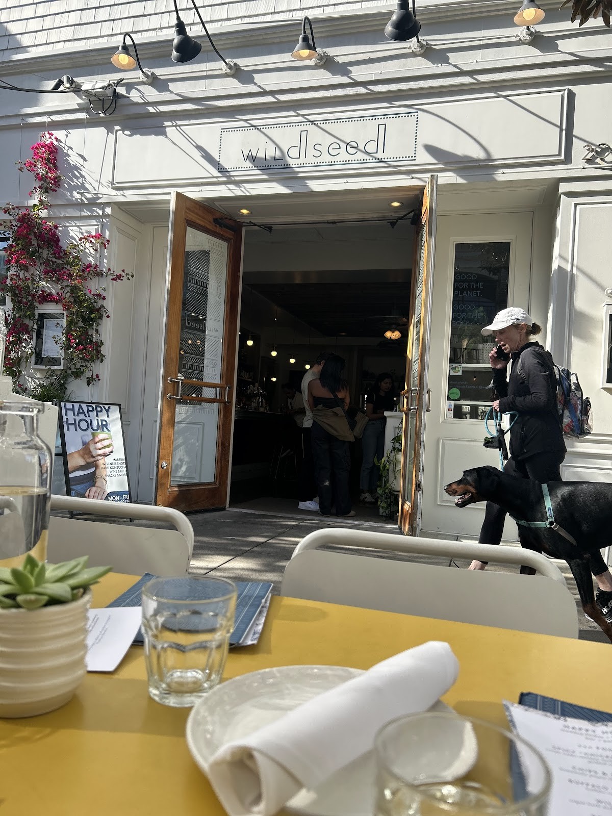 Wildseed: the place