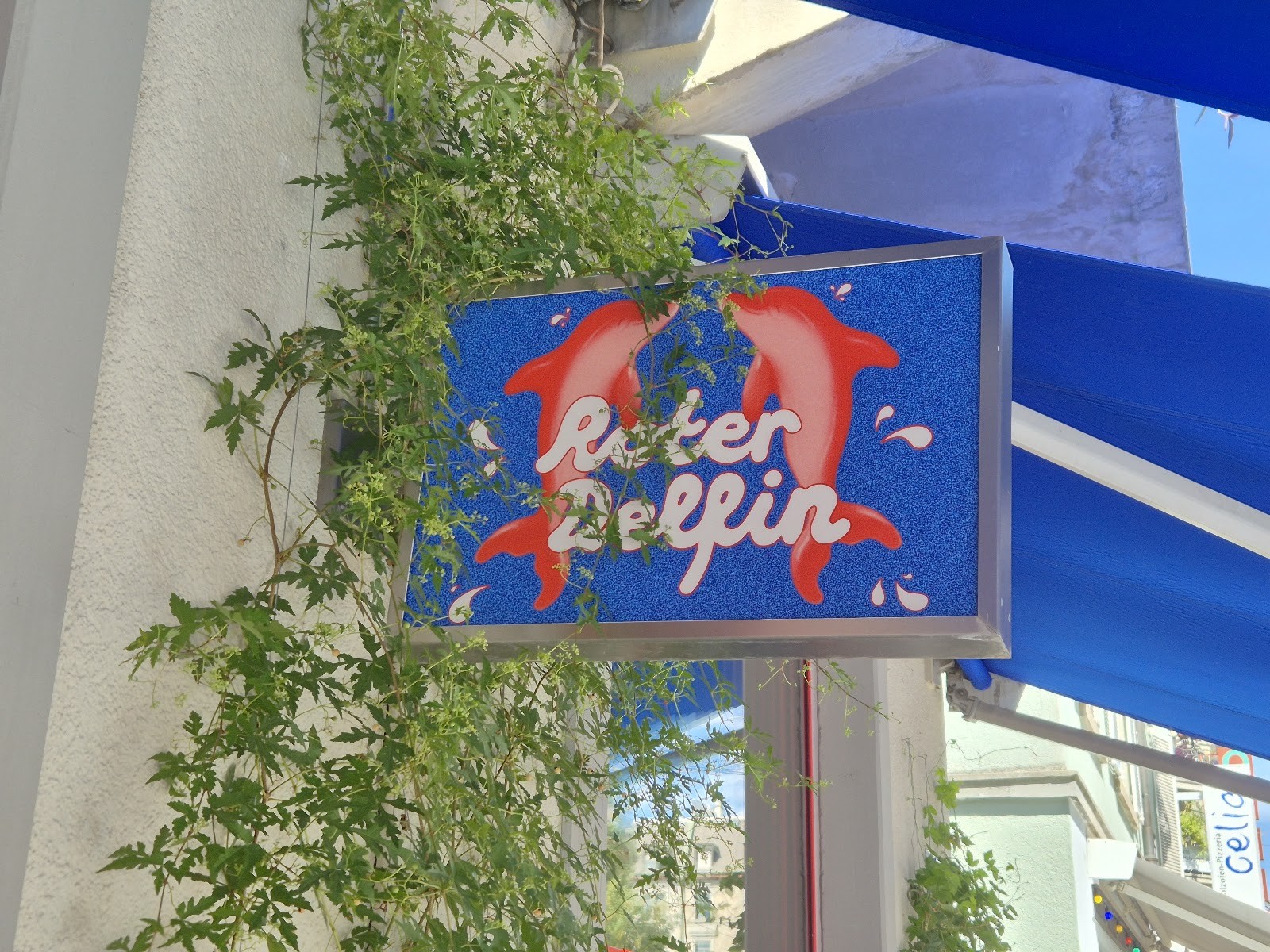 Roter Delfin: the place