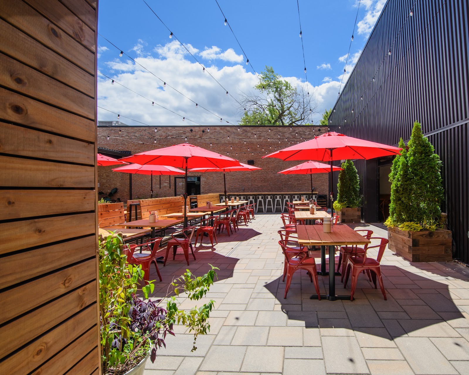 The Little Lark: the place
