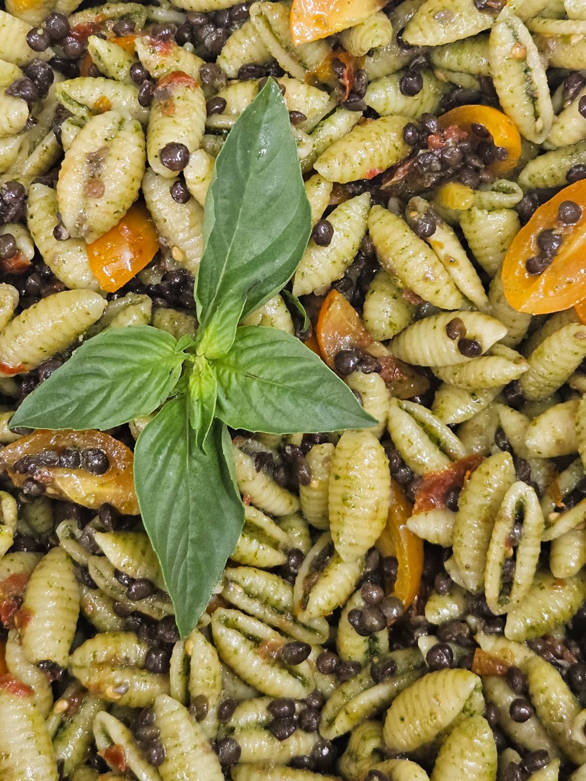 Miscredenza - Gastronomia vegetale: food & drinks