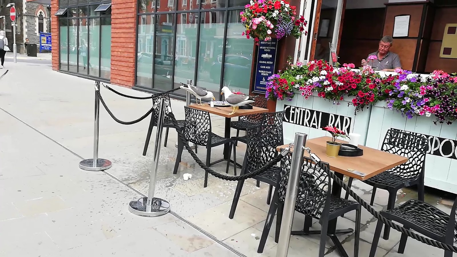 The Central Bar - JD Wetherspoon: the place