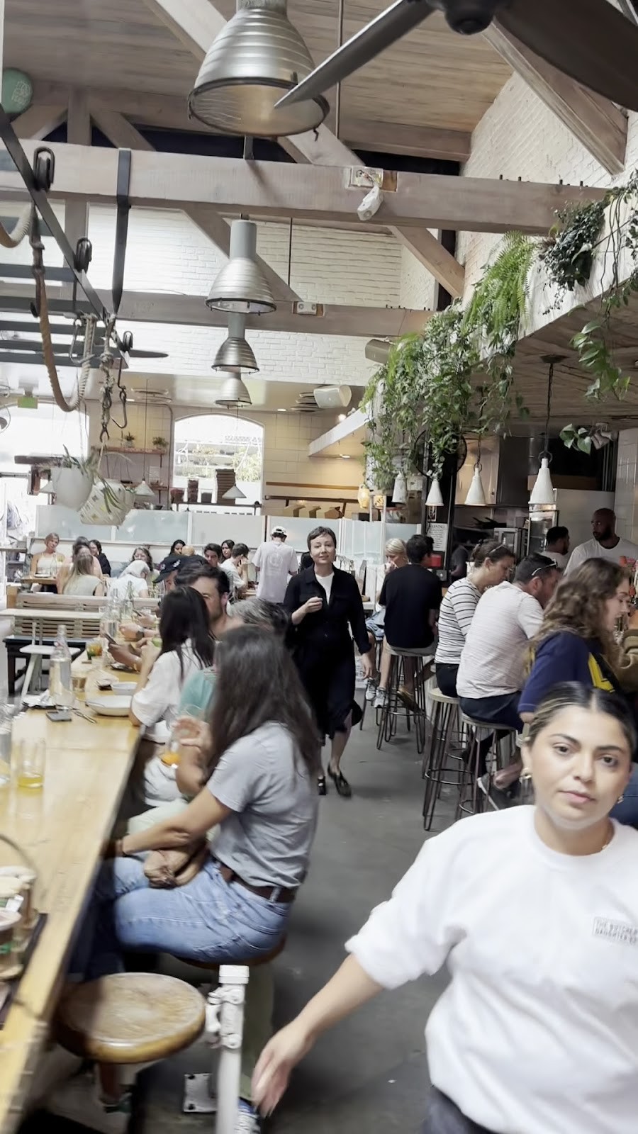 The Butcher's Daughter: the place