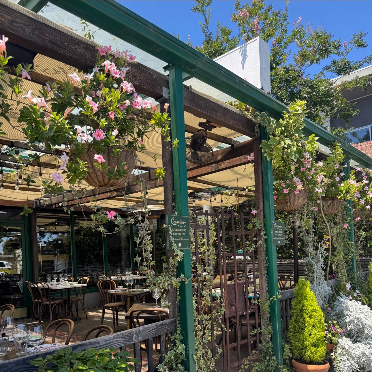 Cesarina: the place
