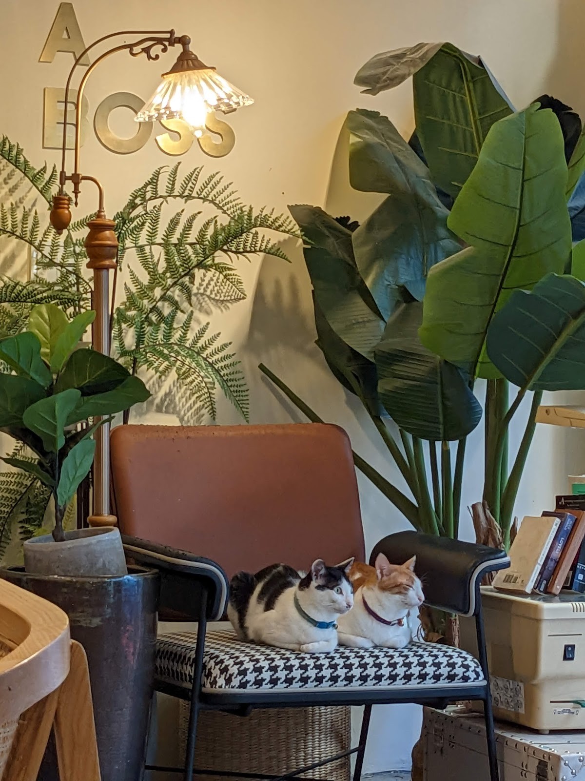 別處咖啡 Away cafe: the place
