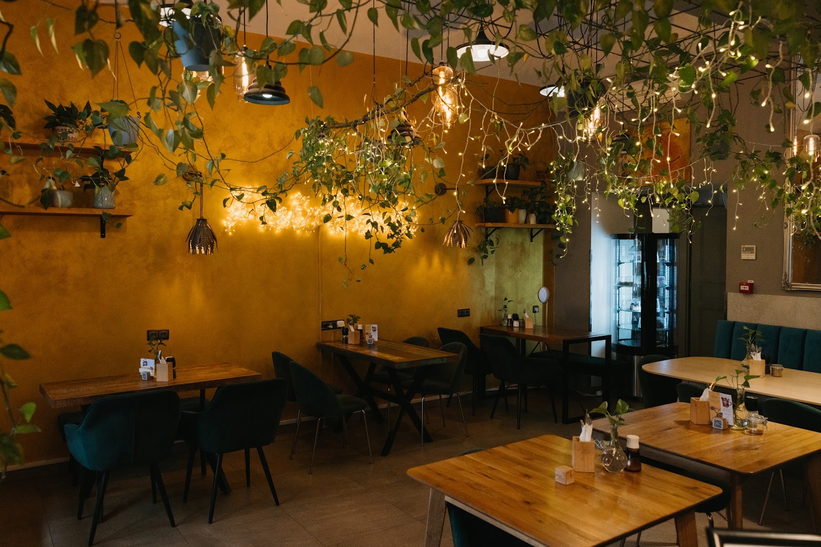 Palo Verde Bistro: the place