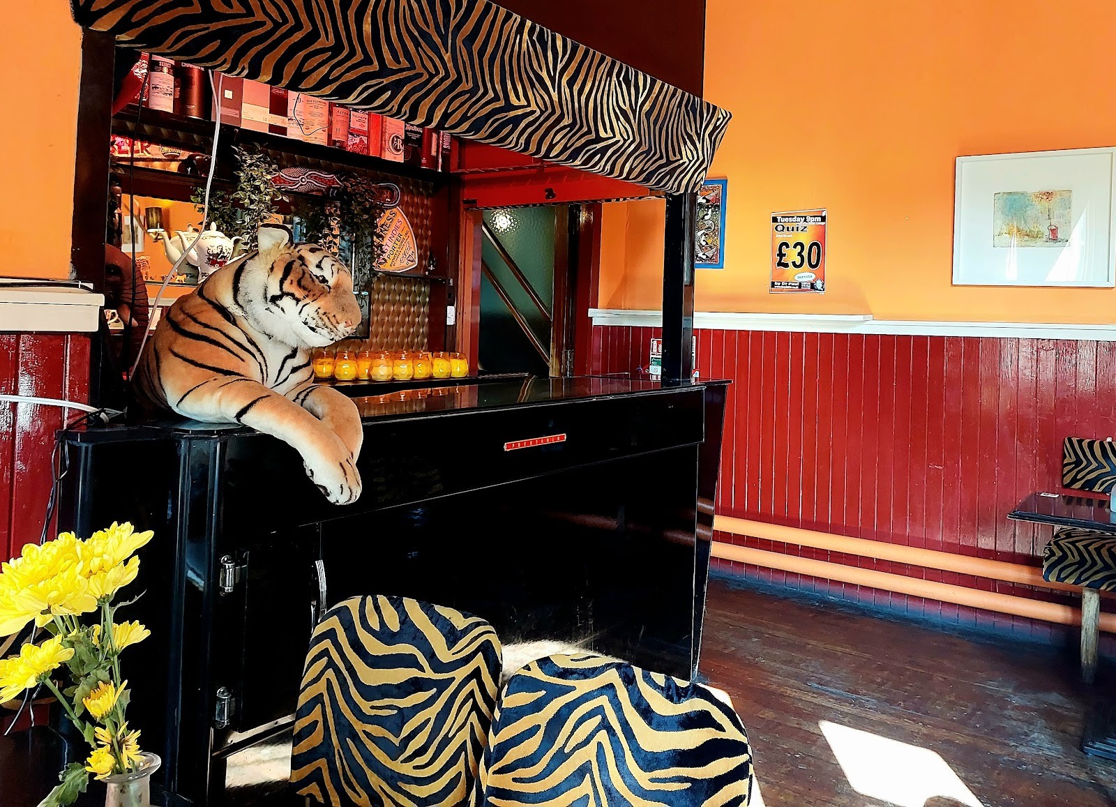 The Safari Lounge: the place