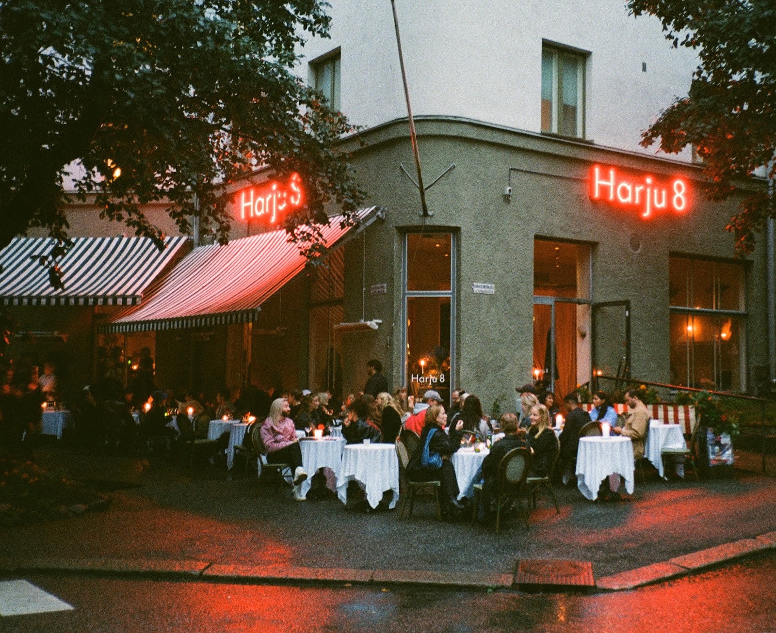Harju 8: the place