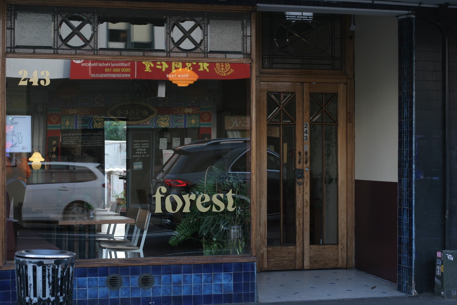 Forest: the place