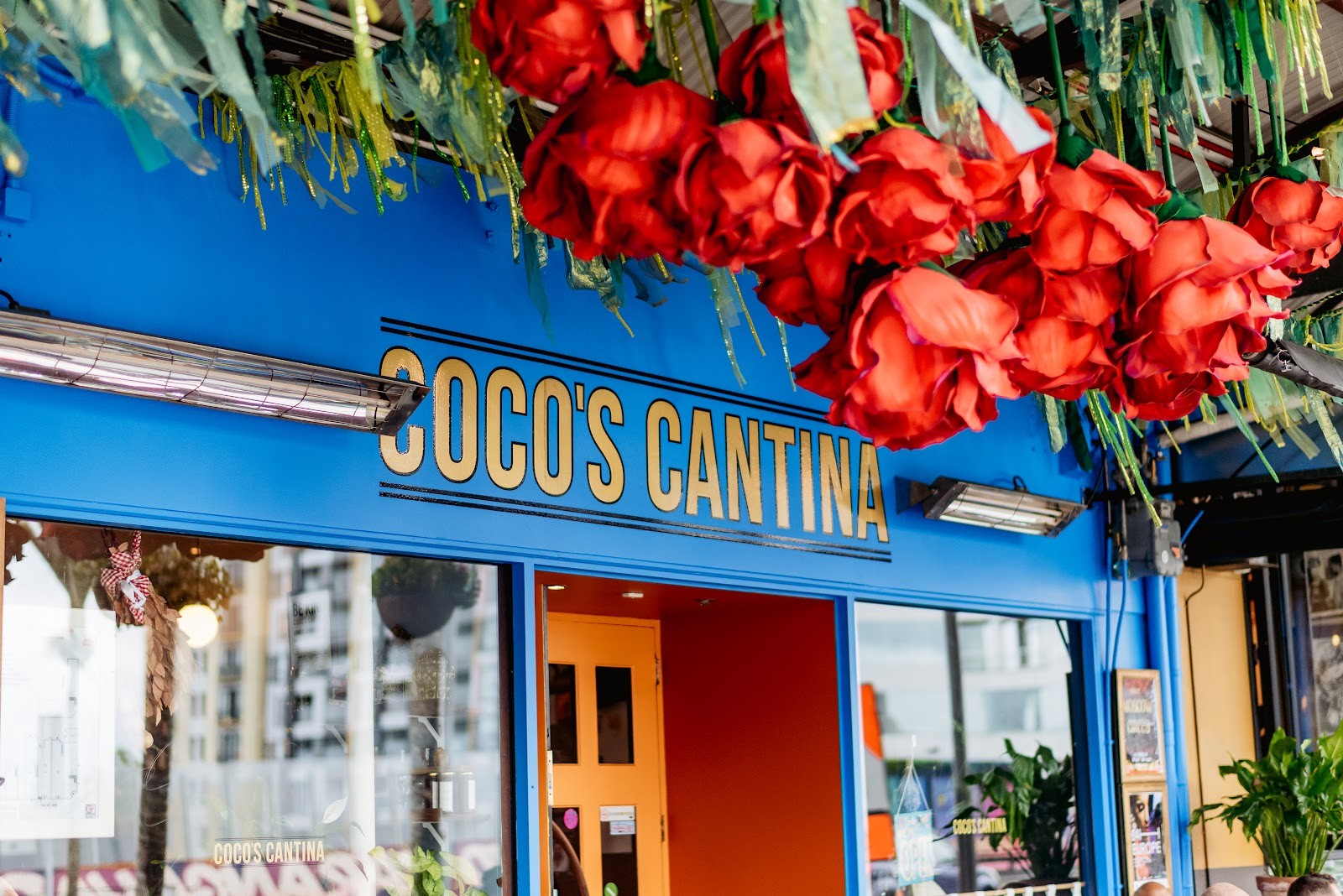Coco's Cantina: the place
