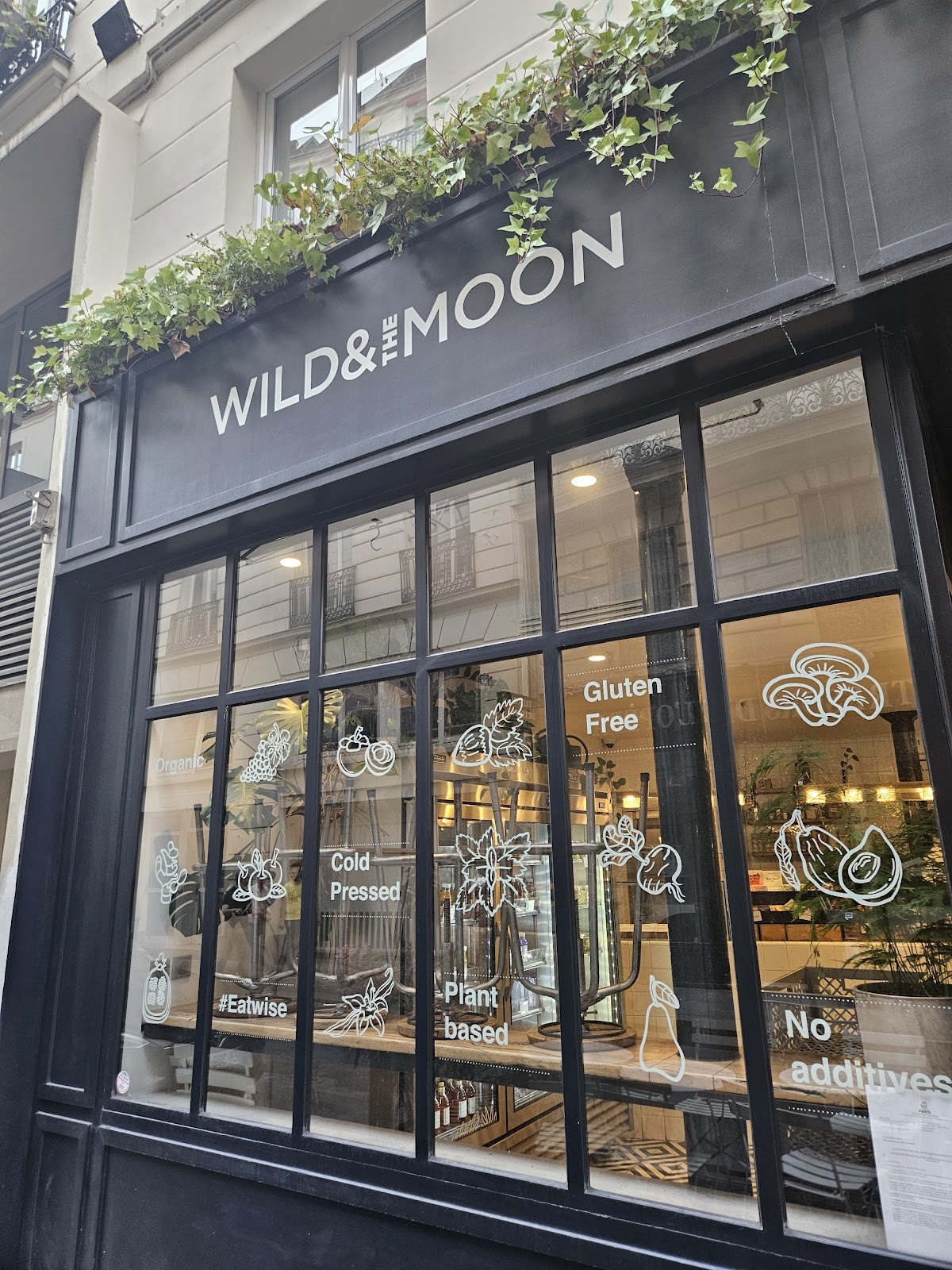 Wild & The Moon - Opéra: the place