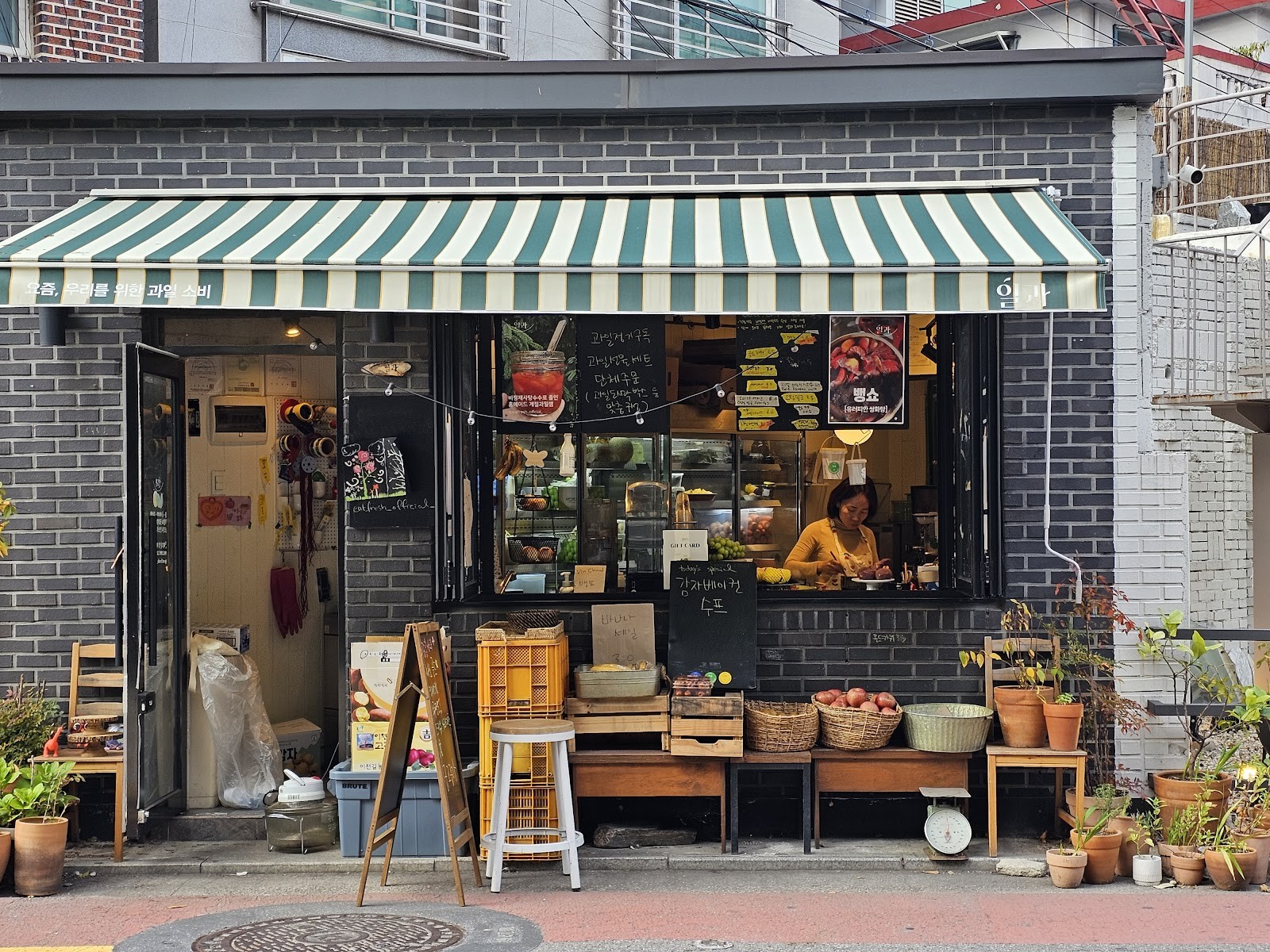 Ilgua Eat Fresh: the place