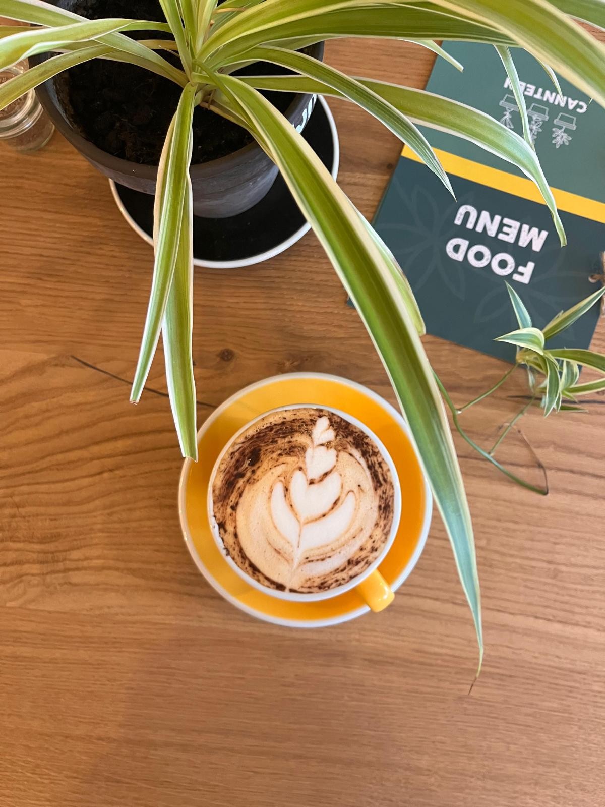 Little Collins CBD Dispensary: food & drinks
