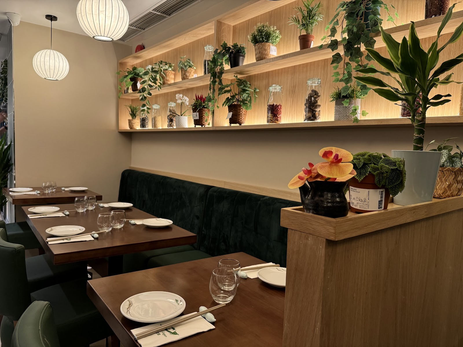 Tofu Vegan - Charlotte: the place