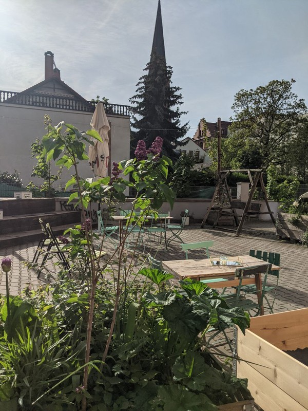 Café Kater: photo 4