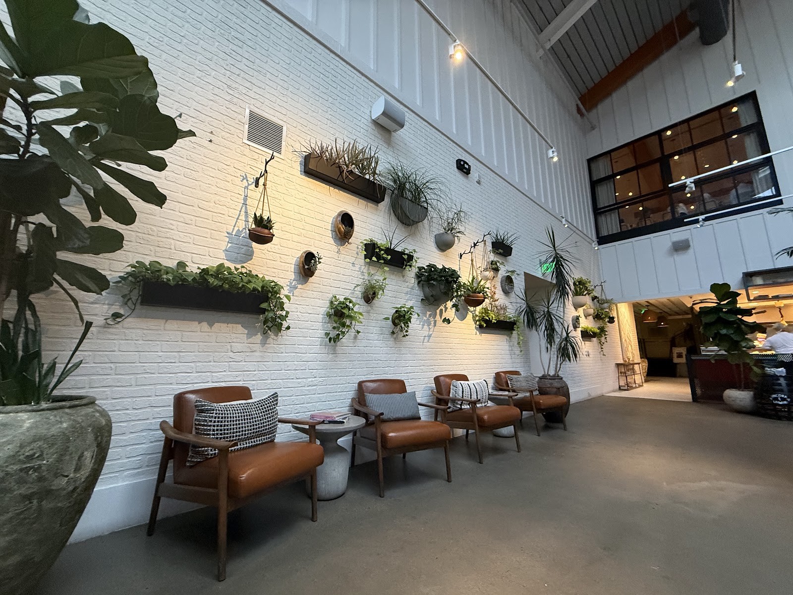Sixty Vines: the place