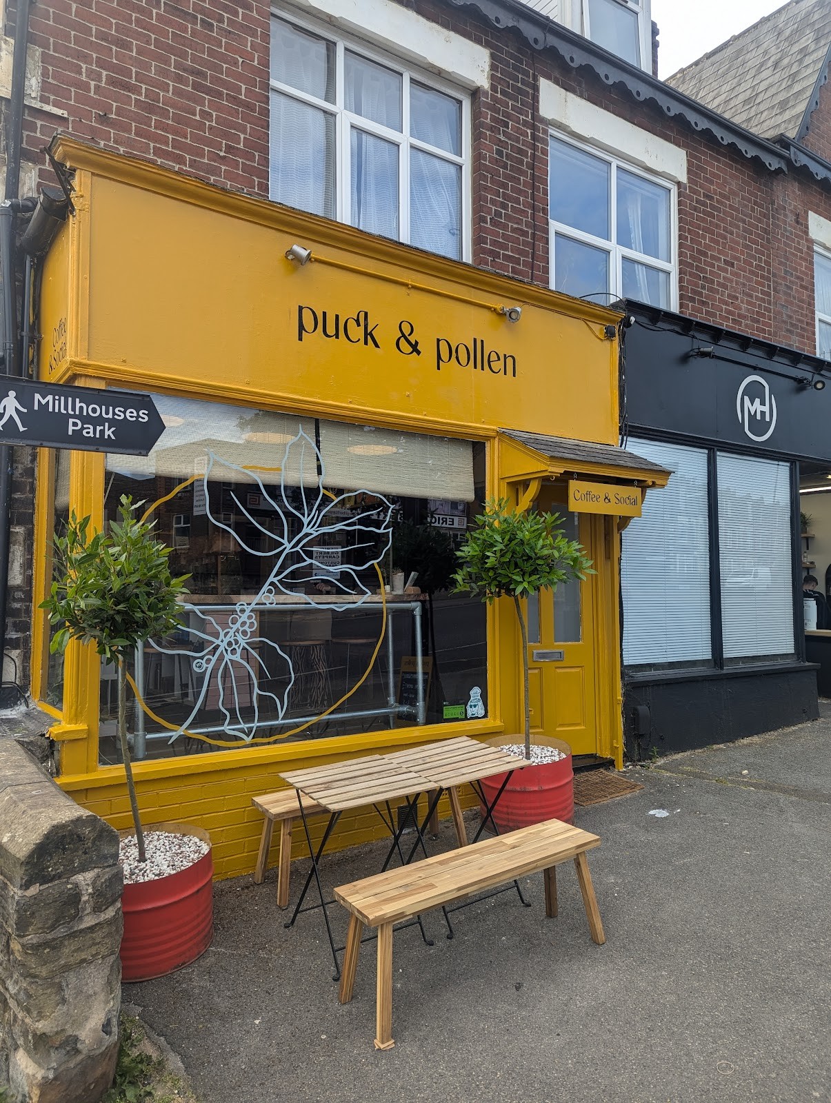 Puck & Pollen: the place