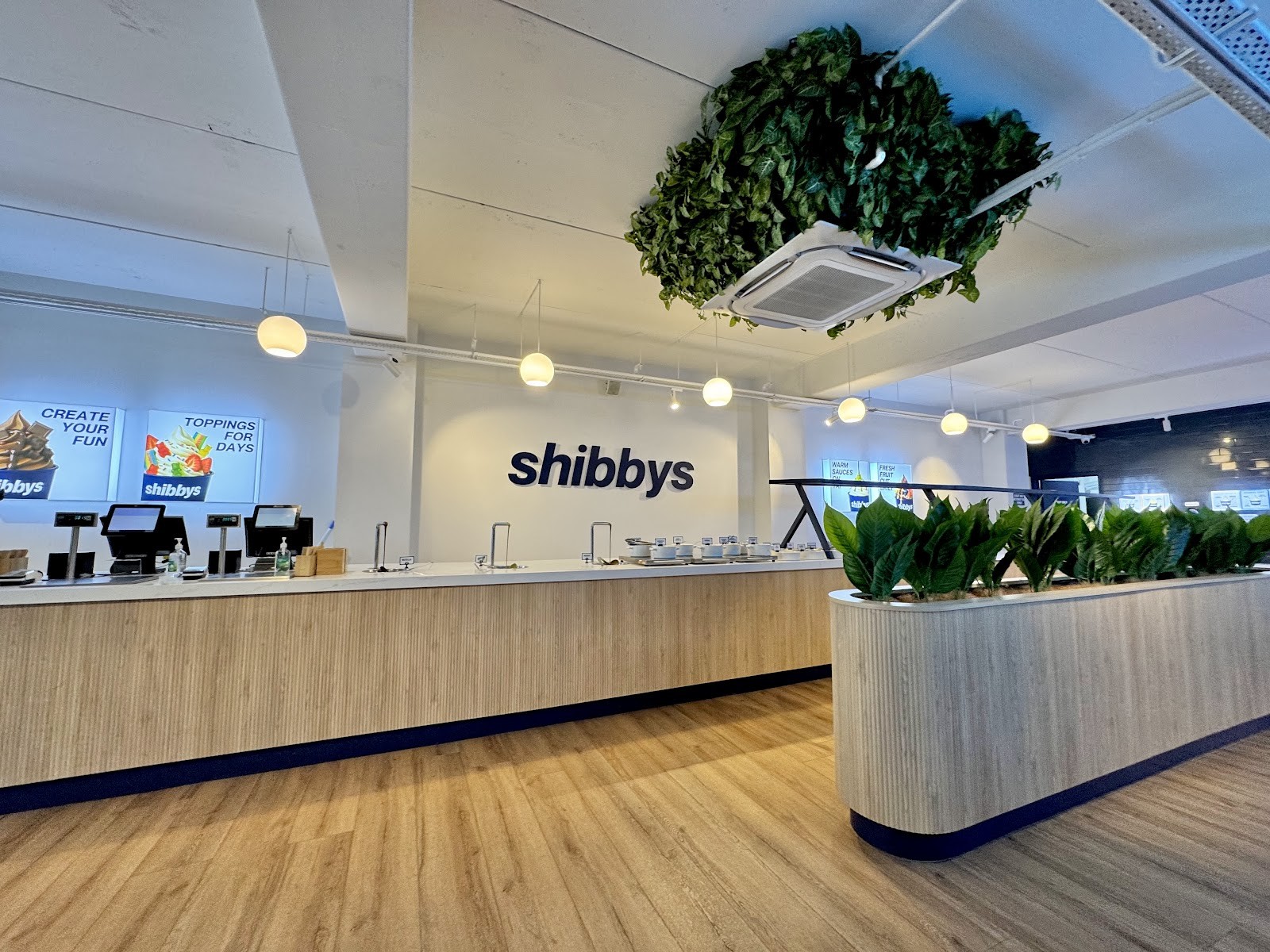 Shibbys Frozen Yoghurt & Açaí: the place
