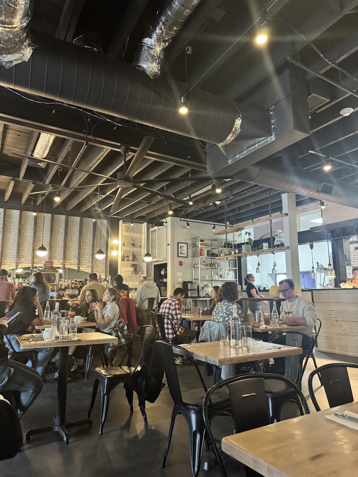 Brassica: the place
