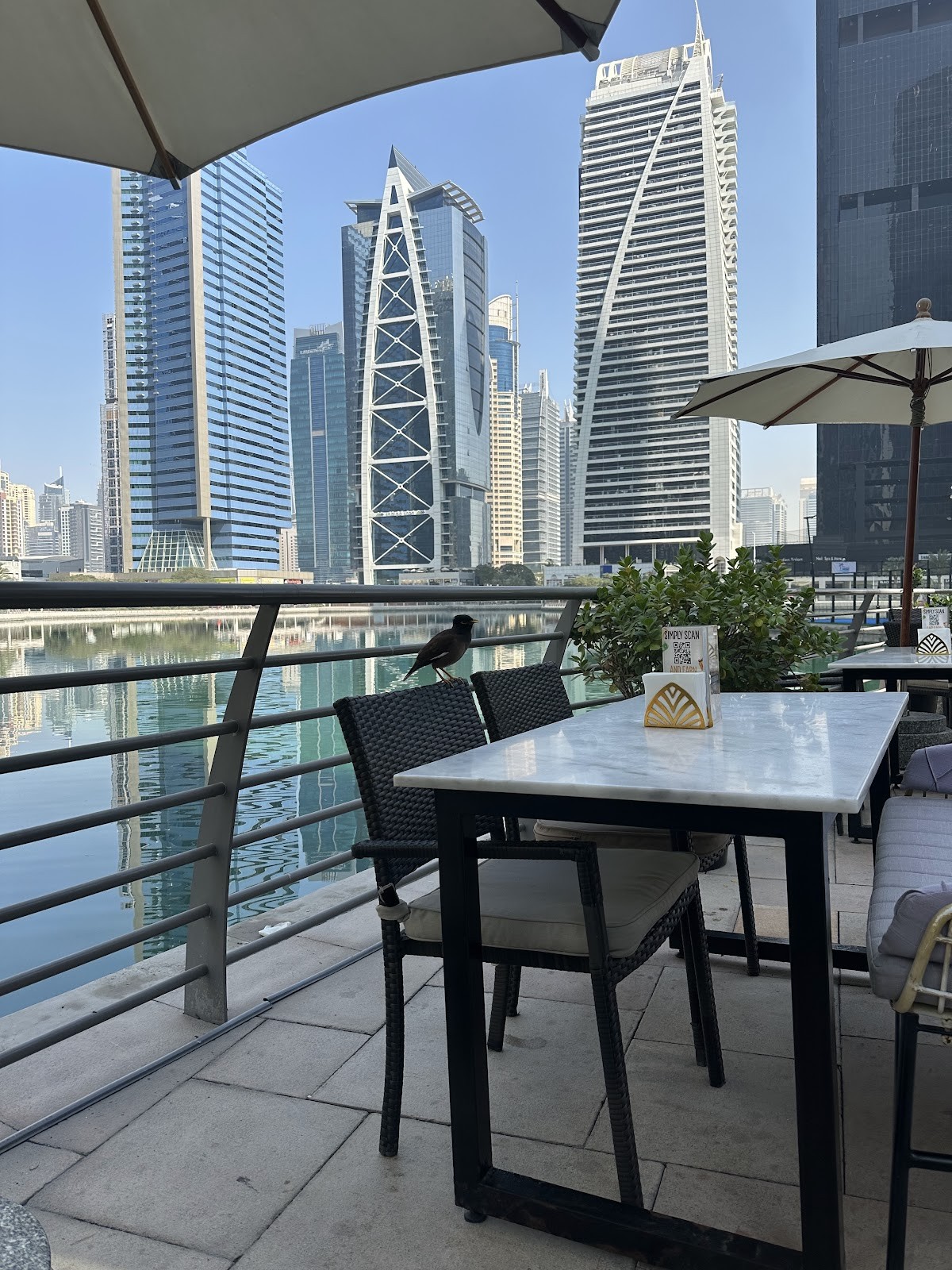 Little Bangkok - Cluster I, JLT: the place