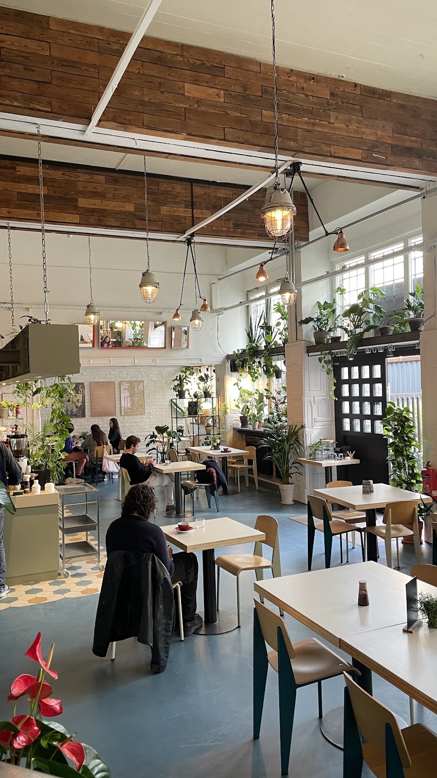 The Greens - Coffee & Plants: the place