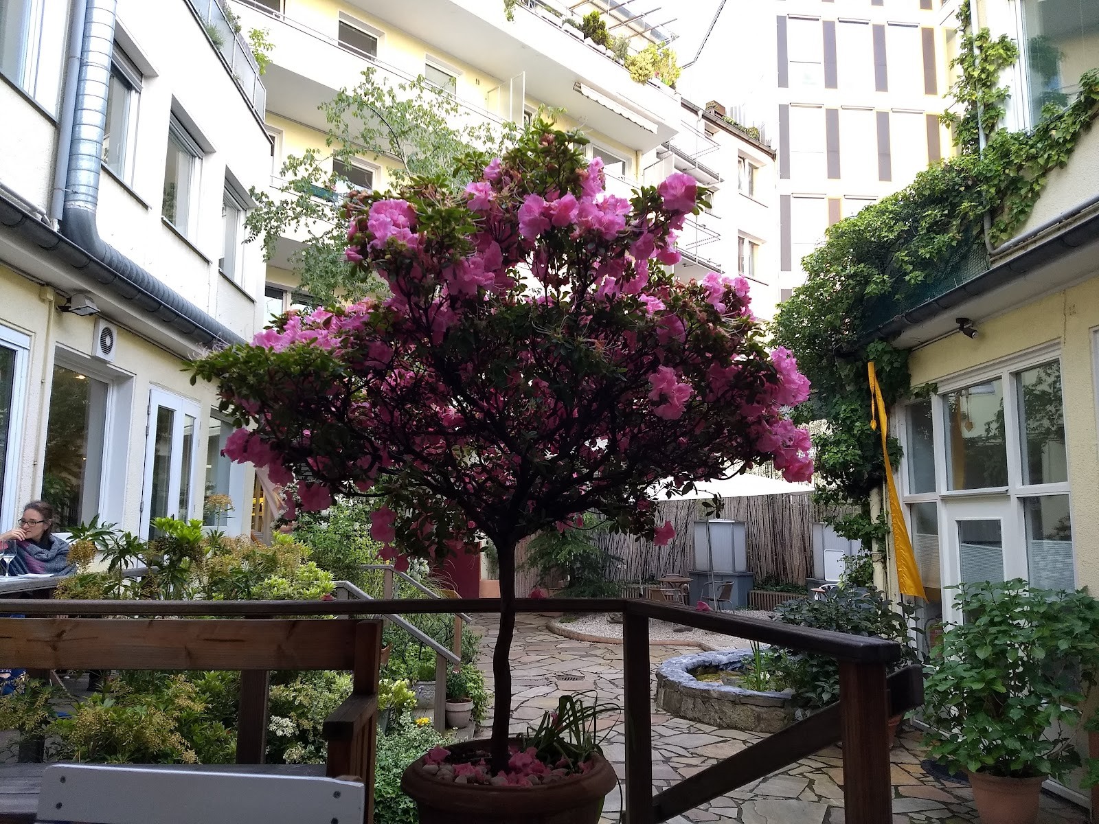 Osho's Place: the place