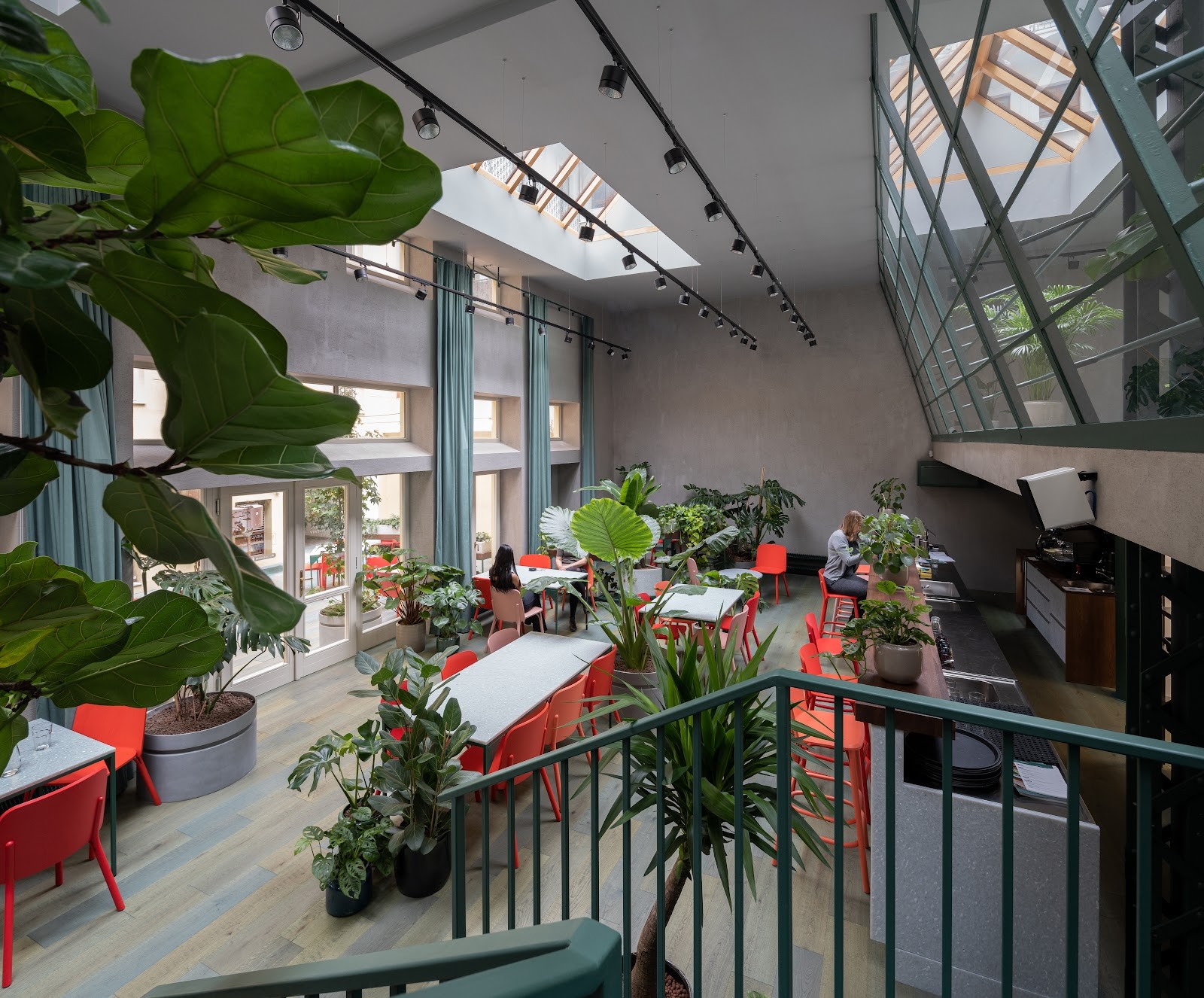 Healthy Longevity Café – Restaurant: the place