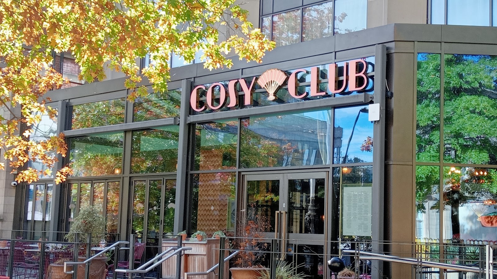 Cosy Club: the place