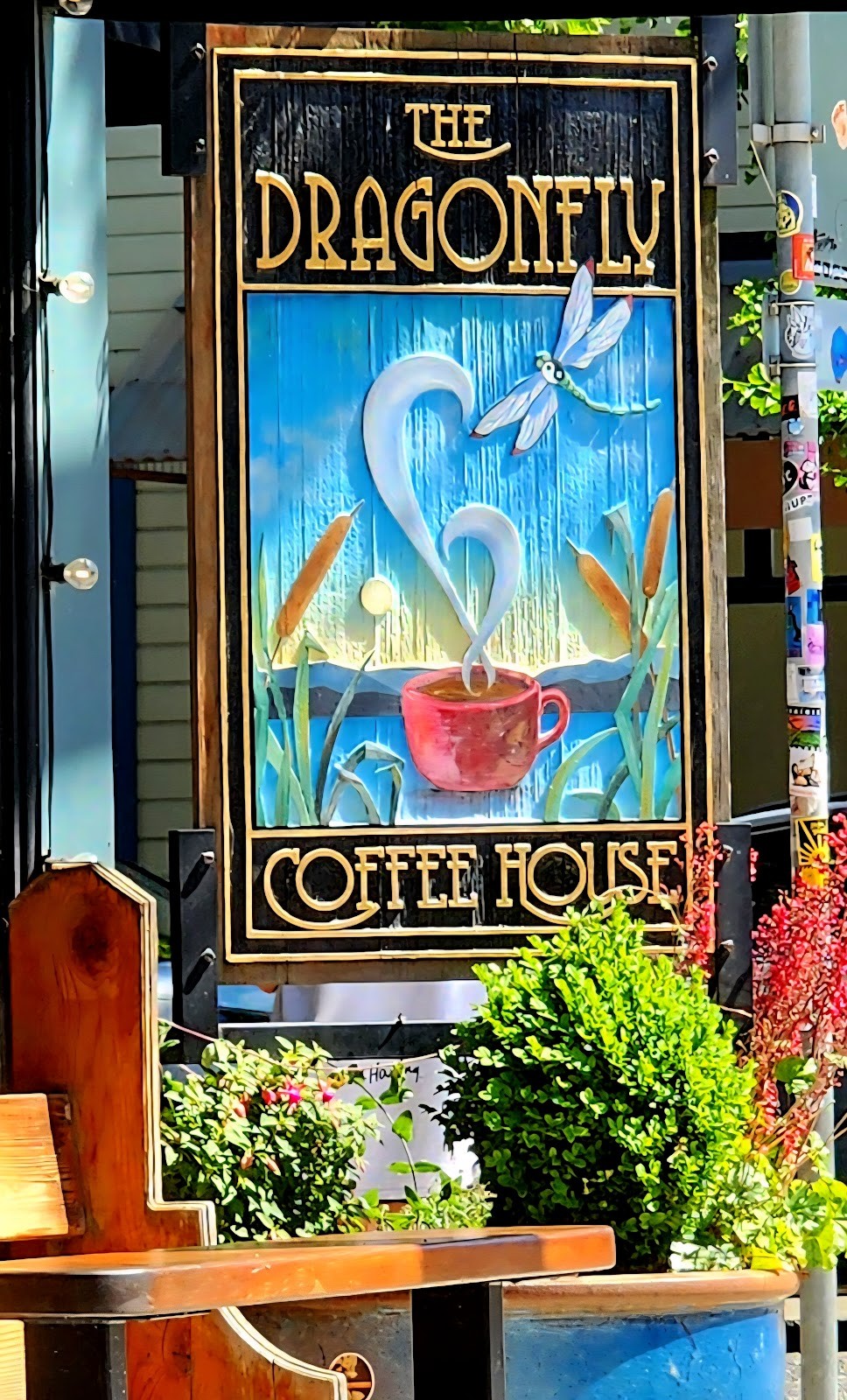 The Dragonfly Coffee House: the place