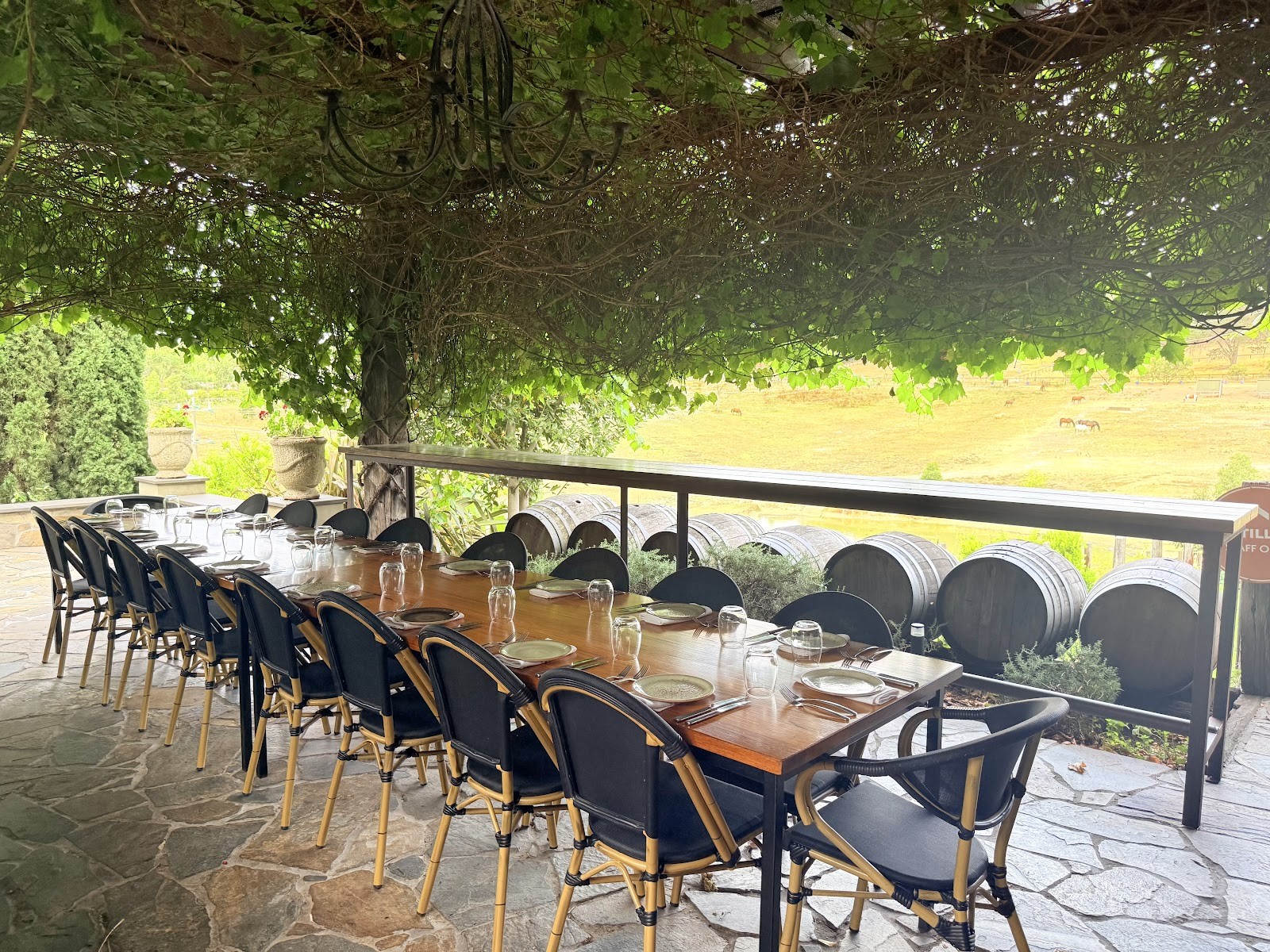 Olivigna: the place