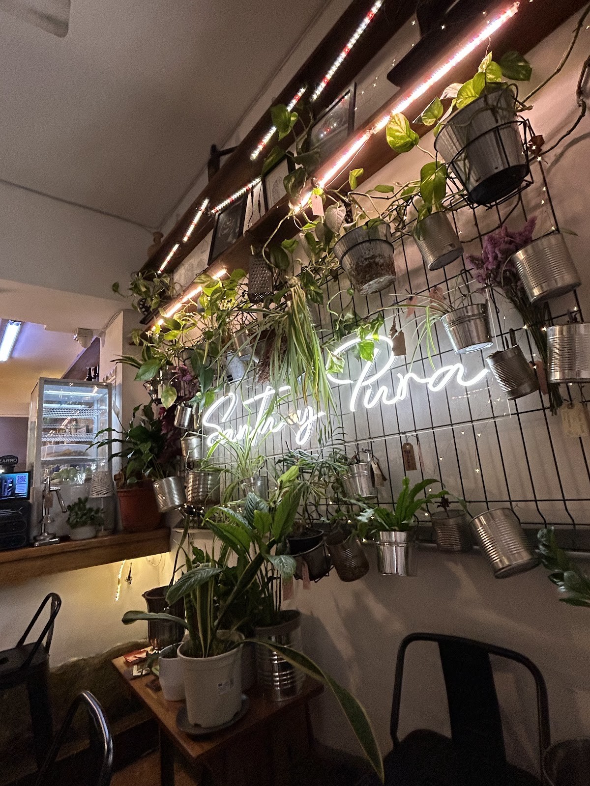 Santa y Pura Vegan Bar: the place