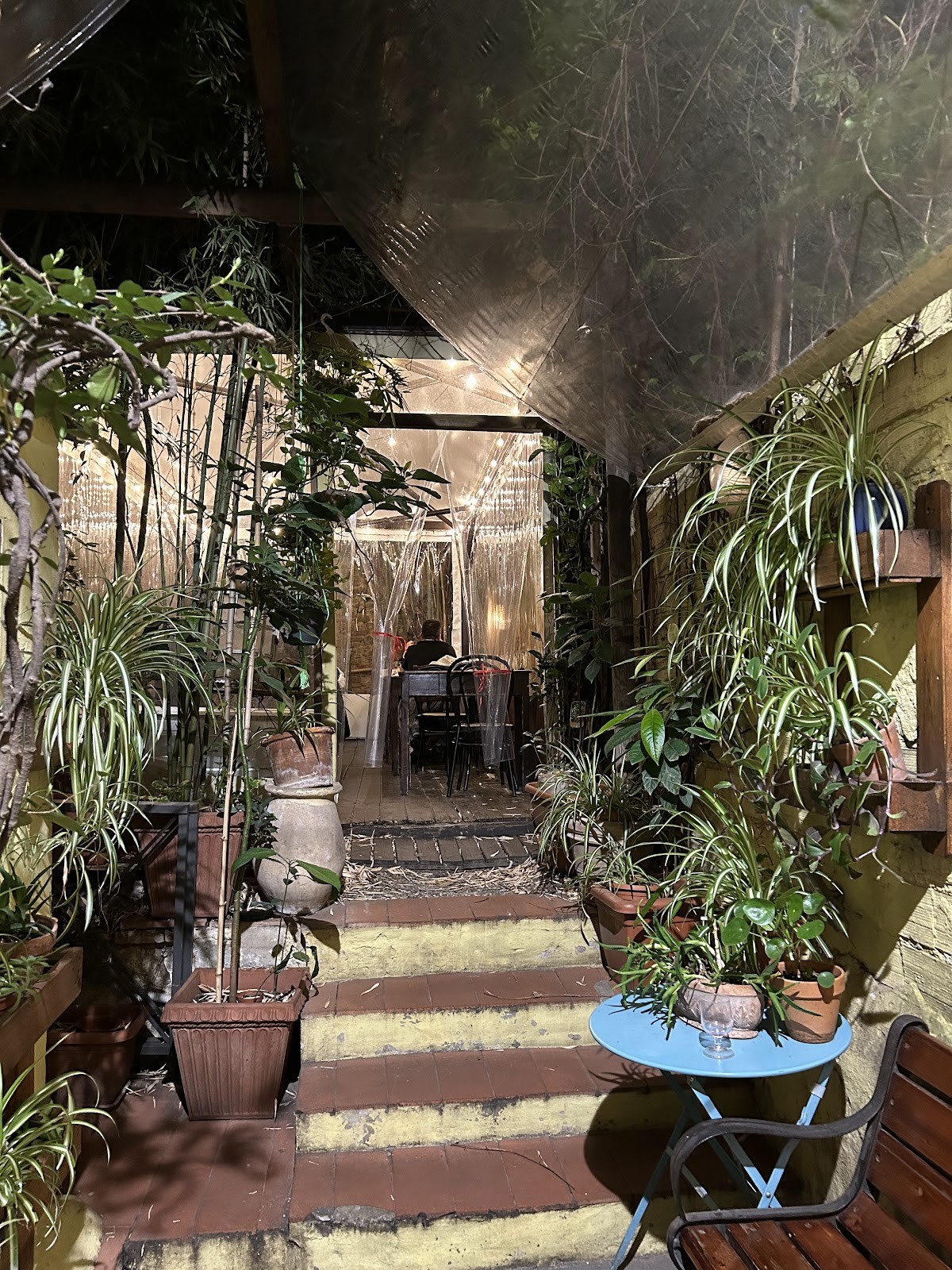 Il Vegetariano: the place