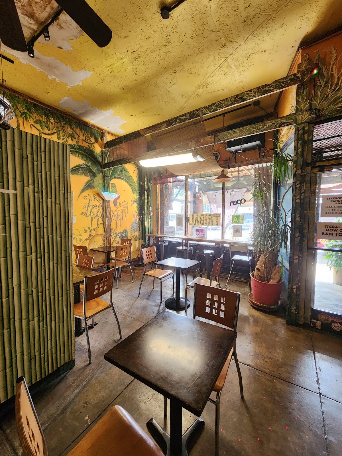 Tribal Cafe: the place