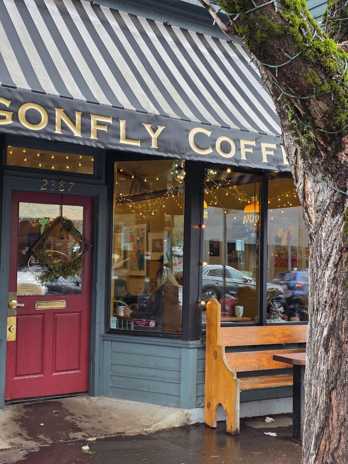 The Dragonfly Coffee House: the place