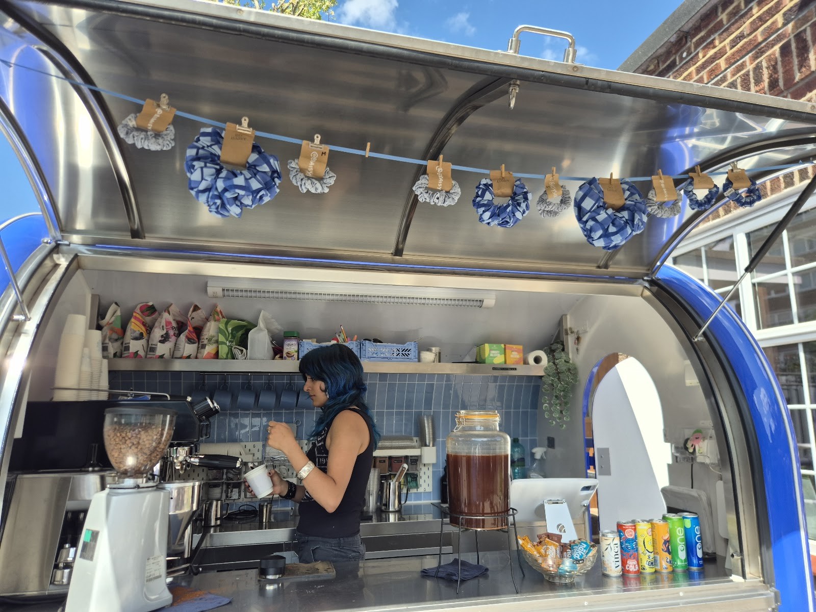 BLUE DAISY: the place