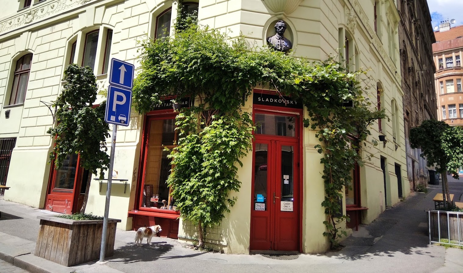 Café Sladkovský: the place