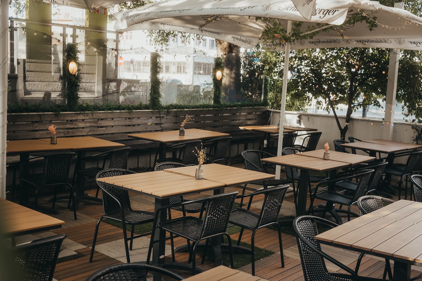 MeiMei Sushi Bar | Contemporary Kitchen: the place