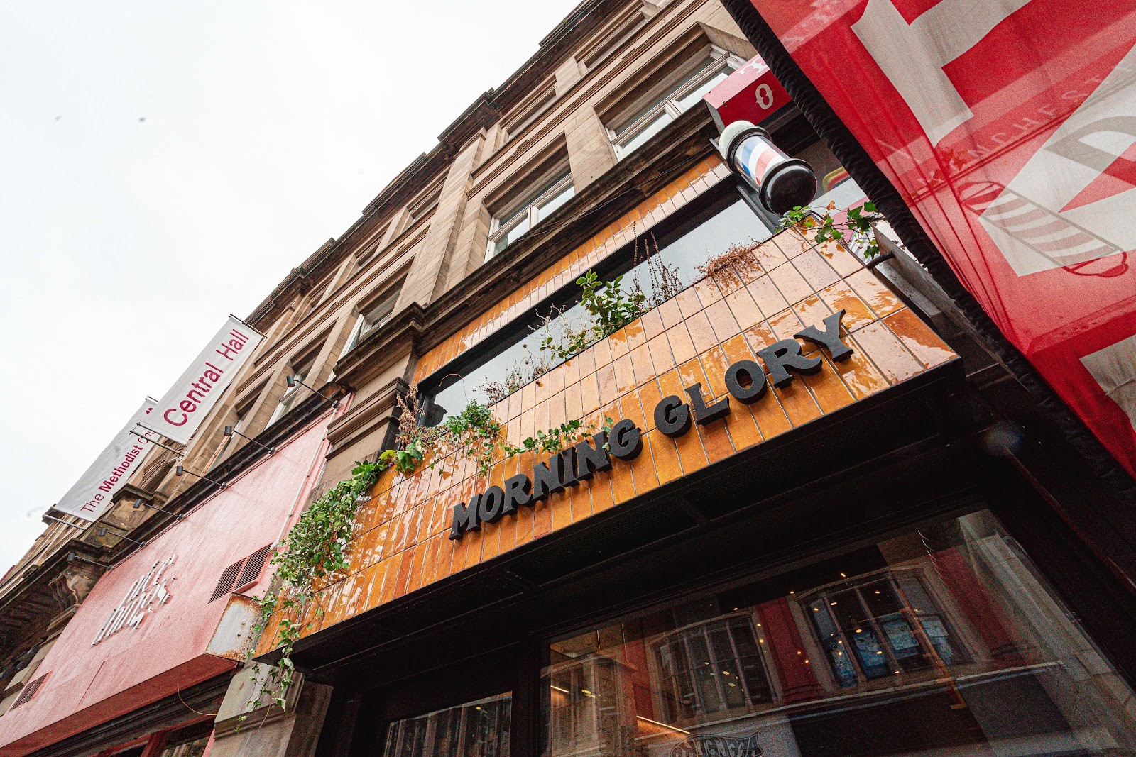 Morning Glory: the place