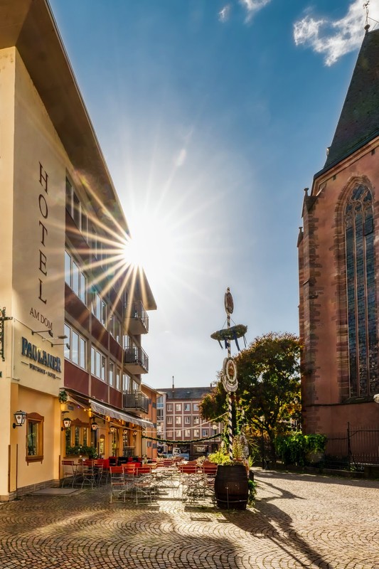Restaurant Paulaner am Dom: photo 4
